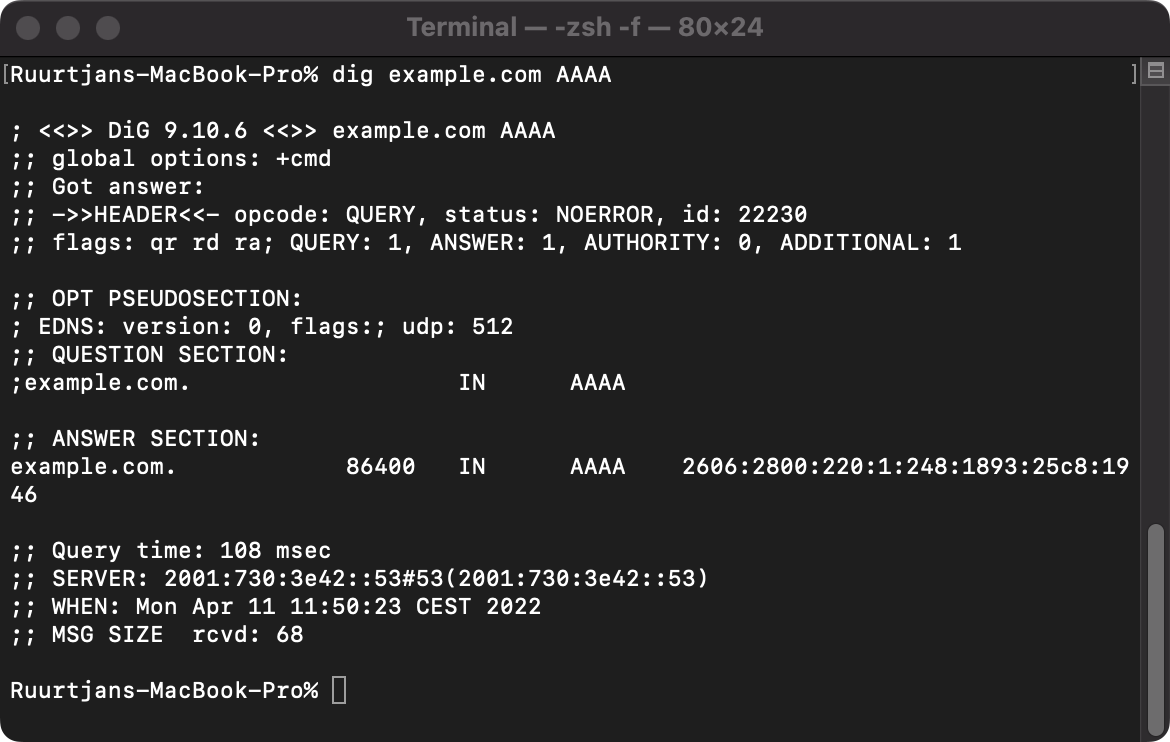 Example output of a AAAA lookup query