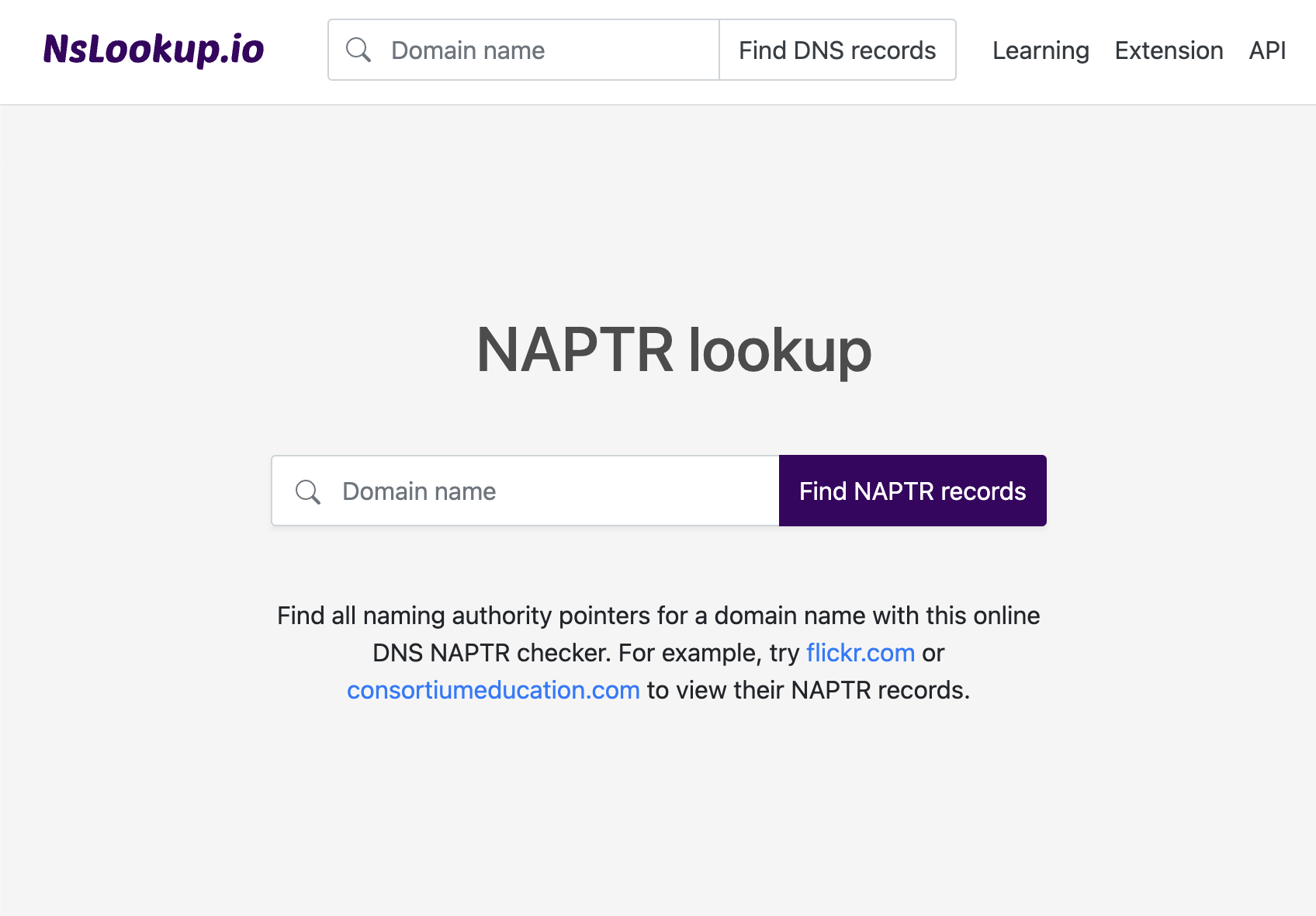 Open the NAPTR lookup tool